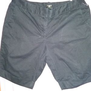 Ann Taylor Shorts